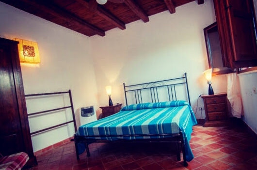 strelitzia interno