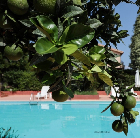 pool
