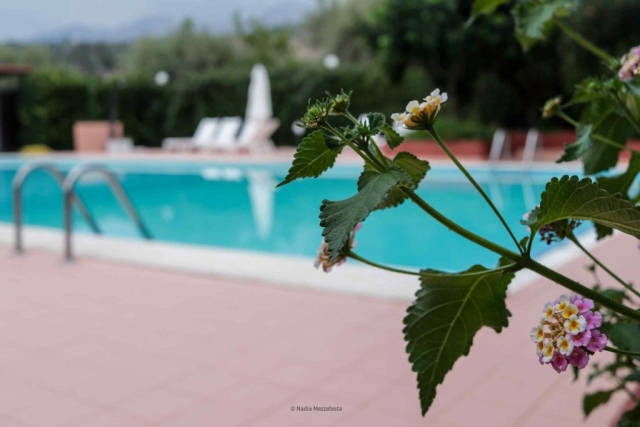 poolfower